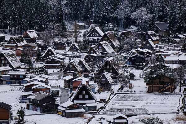 Mùa đông đến làng cổ Shirakawago phủ trong tuyết trắng