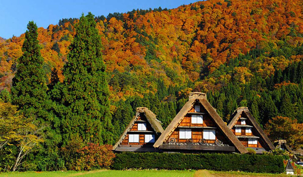 Làng cổ Shirakawago nằm ở chân núi Hakusan