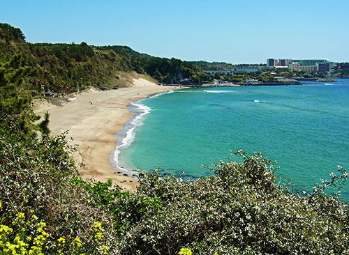 Bãi biển ở Jeju