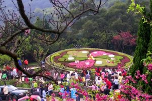 Tìm hiểu về công viên Dương Minh Sơn Đài Loan theo cách riêng của bạn