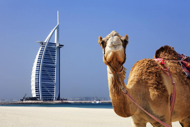  tour du lịch Dubai giá rẻ