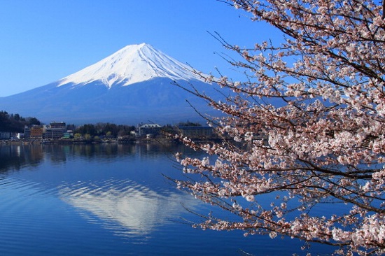 Những địa điểm ngắm núi Phú Sĩ đẹp nhất 