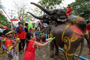 Khám phá lễ hội voi Surin tại Thái Lan