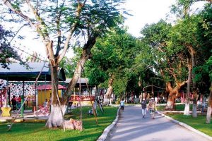 Công viên 29-3 – Nổi danh “Lá phổi xanh của Đà Nẵng”