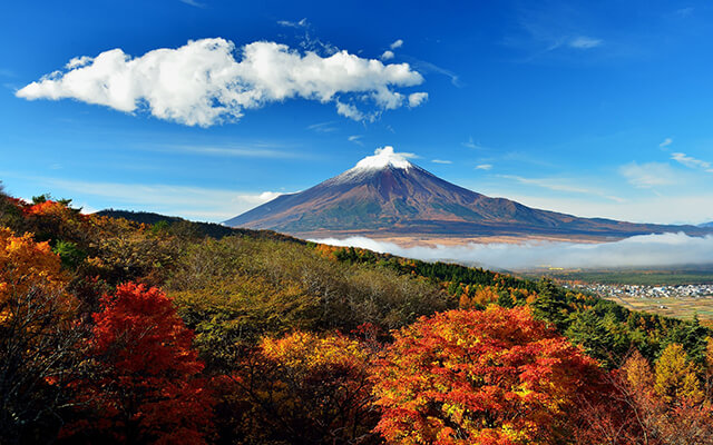 Du khách được tham quan Núi Phú Sĩ trong tour nhật bản 6N5D