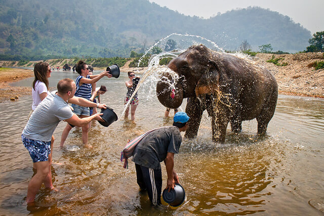 Du khách trong tour du lịch thái lan giá rẻ sẽ được tham gia cưỡi voi, đây được coi là môn thể thao của những vị "vua" 