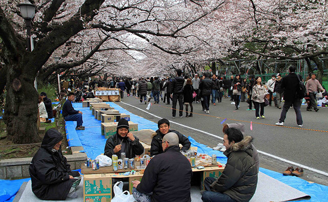 Công viên bao quanh Osaka là một địa điểm tuyệt vời cho du khách trong tour du lịch Nhật Bản