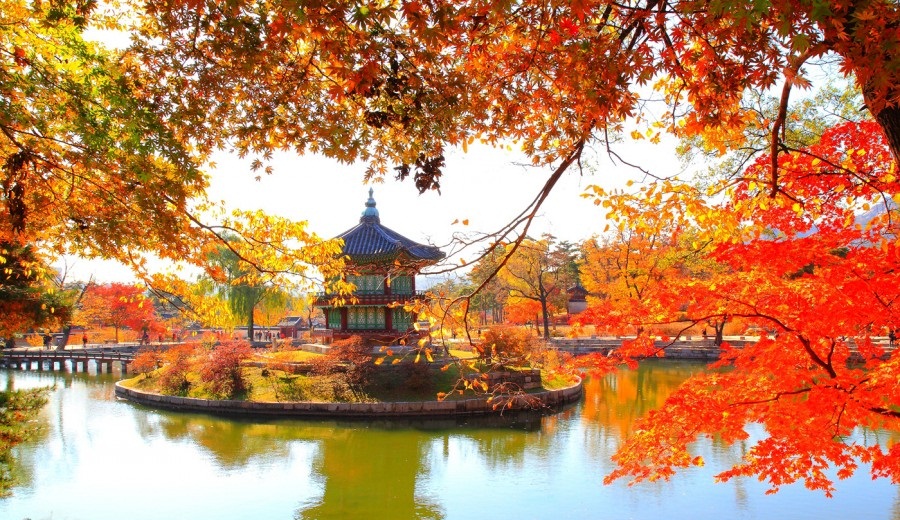 Mùa thu Hàn Quốc