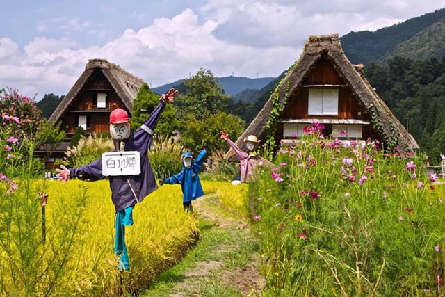 Làng cổ Shirakawago tọa lạc ở chân núi Hakusan, tỉnh Gifu, du khách đi tour Nhật Bản có thể sử dụng tàu cao tốc để di chuyển đến đây