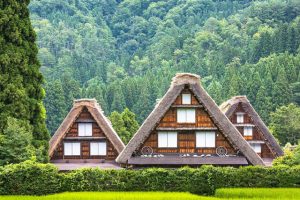 Kể chuyện làng cổ Shirakawago trong tour du lịch Nhật Bản