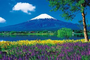 Du lịch Nhật Bản ghé thăm núi Phú Sĩ