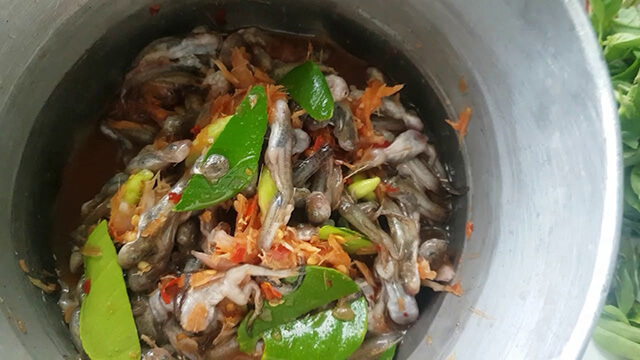 Món Mok Huak được cho là giàu chất dinh dưỡng vì được chế biến từ những con nòng nọc đã phát triển thành ếch