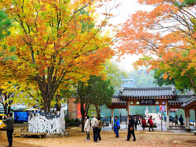 Mùa lá đỏ Hàn Quốc
