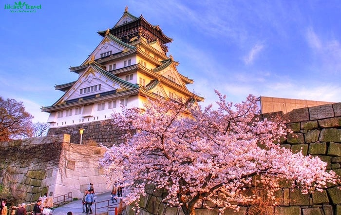 Lịch sử hình thành lâu đài Osaka