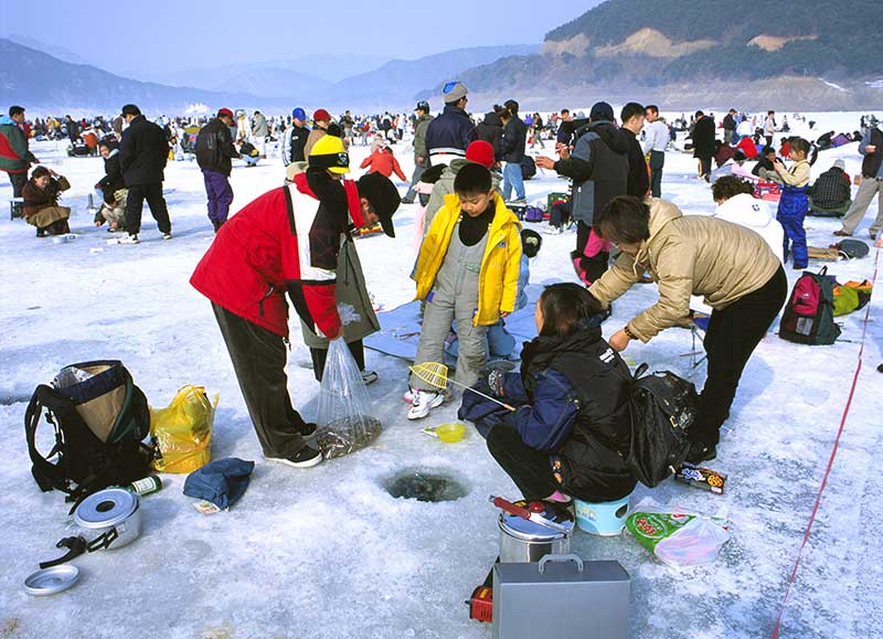 Lễ hội câu cá hồi trên băng Sancheoneo Hwacheon