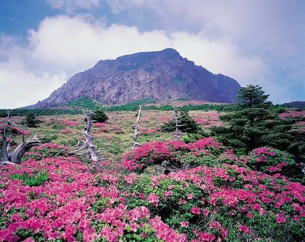 núi Hallasan Jeju, Hàn Quốc