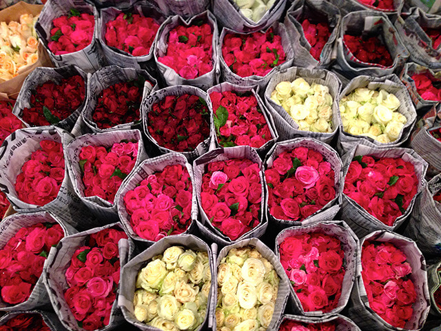 Đi du lịch Thái Lan bạn không thể không ghé ngôi chợ hoa độc đáo mang tên Pak Klong Talad