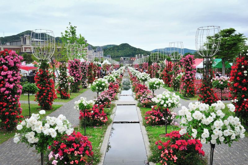 Công viên hoa Huis Ten Bosch Nhật Bản