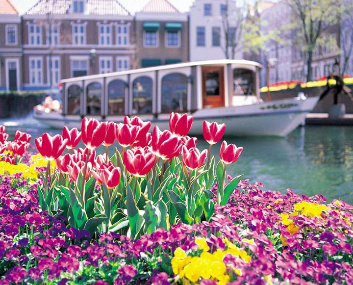 Công viên hoa Huis Ten Bosch Nhật Bản