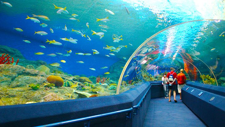 Thủy cung Underwater World Pattaya