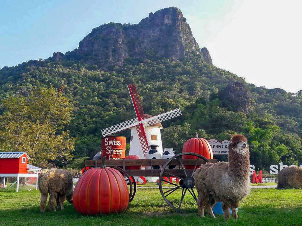 Swiss Sheep Farm Thái Lan