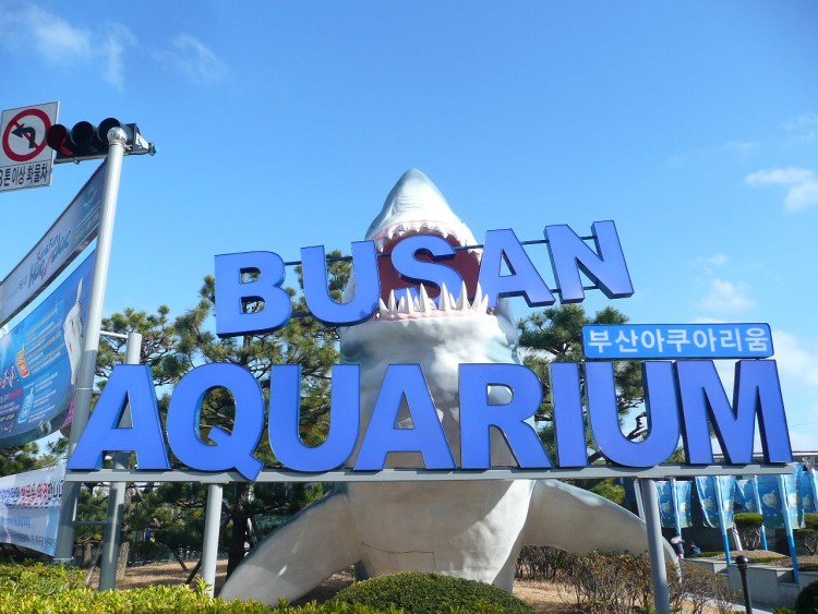 Viện hải dương Busan Aquarium