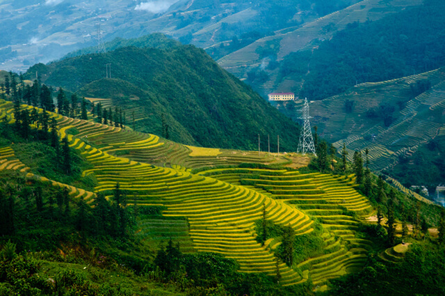 Quang cảnh trên đường dẫn xuống thác Bạc là màu xanh ngút ngàn của đồi thông xen lẫn các vườn xu xu bên sườn đồi