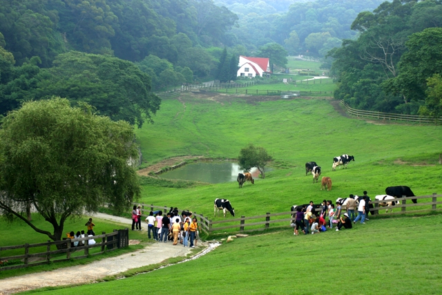 Hồ Green Grass Hsinchu