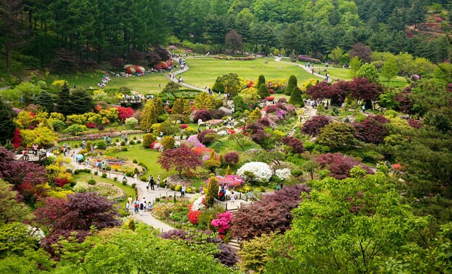 Ngất ngây với vẻ đẹp tại khu vườn Morning Calm ở Gapyeong, Hàn Quốc