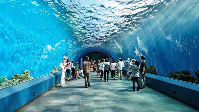 Underwater World Pattaya, Thái Lan