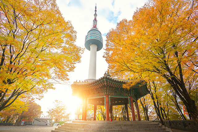 5 điều phải làm khi du lịch Hàn Quốc mùa thu