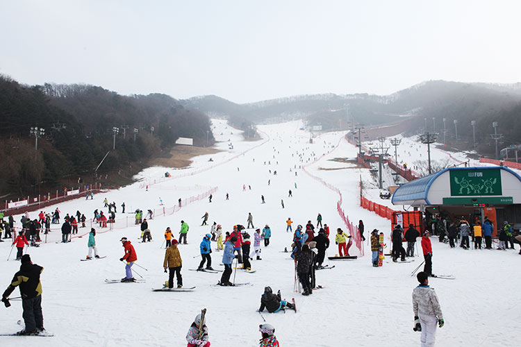 Khám phá khu trượt tuyết Yangij Pine, Hàn Quốc