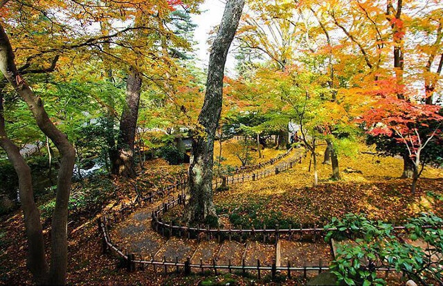 Khu vườn Kenrokuen được nhận đinh là 1 trong 3 khu vườn đẹp nhất tại Nhật Bản