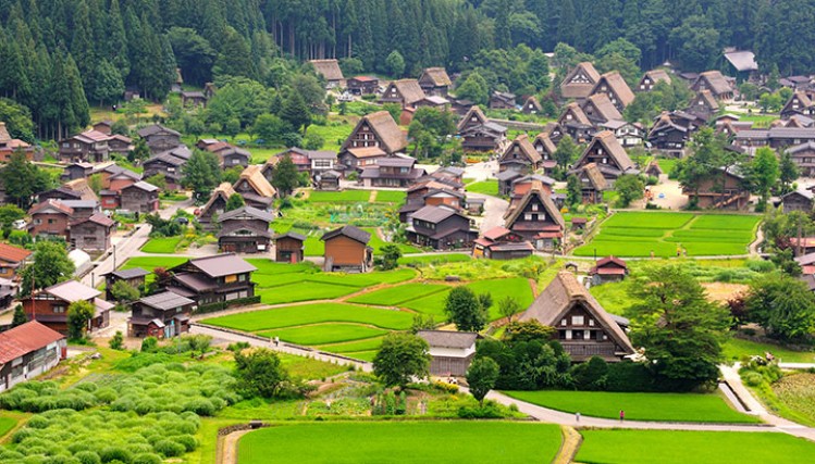  Ngôi làng Shirakawago 