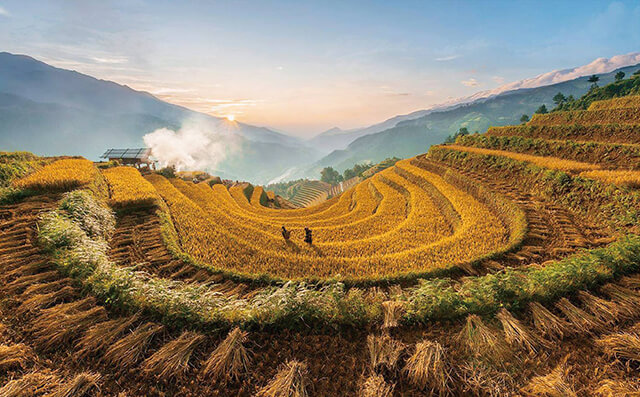 Nếu thích ngắm lúa chín thì bạn nên du lịch Sapa từ đầu tháng 9