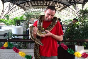 Những trải nghiệm tuyệt vời khi tham quan trại rắn Hoàng Gia Thái Lan