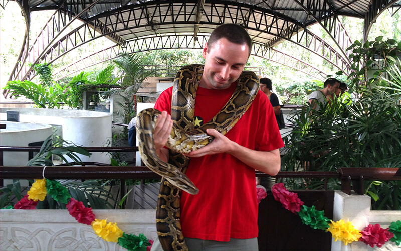 Trại rắn Hoàng Gia Thái Lan