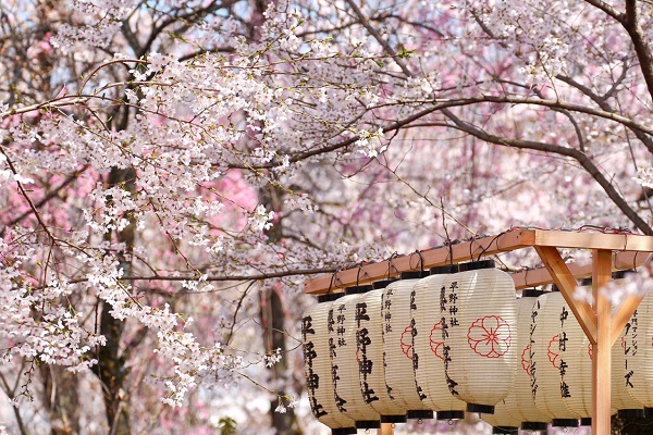 Du lịch Nhật bản mùa xuân