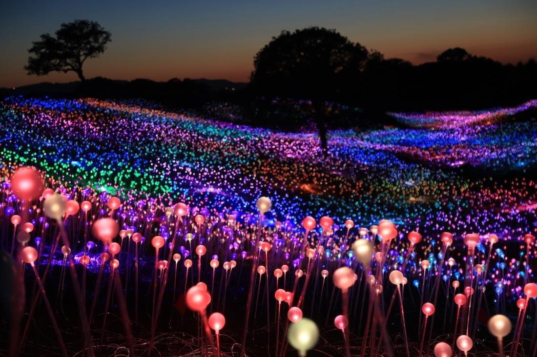 Lễ hội ánh sáng trên đảo Jeju.