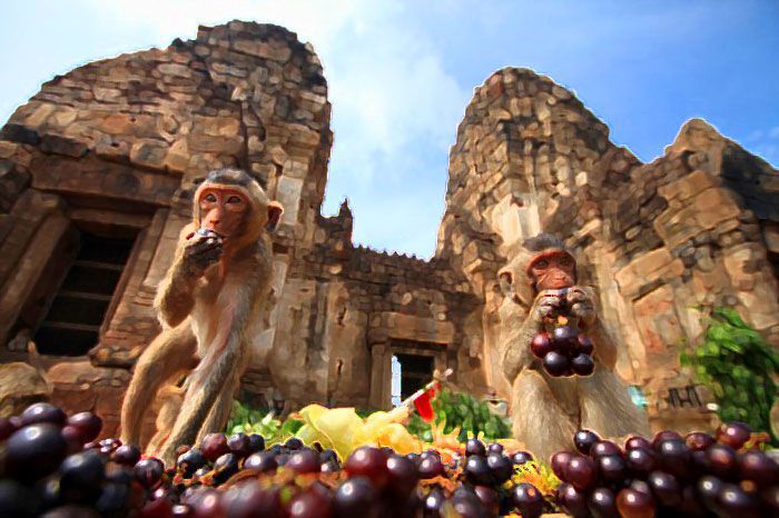 Lễ hội buffet cho khỉ ở Thái Lan