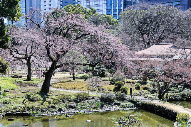 Vườn Koishikawa Korakuen