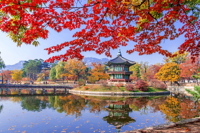 Cung điện Gyeongbokgung trở nên lộng lẫy và lãng mạn hơn khi thu về
