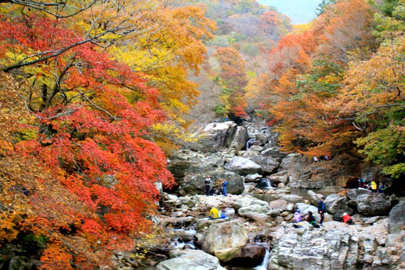 Vườn quốc gia Seoraksan